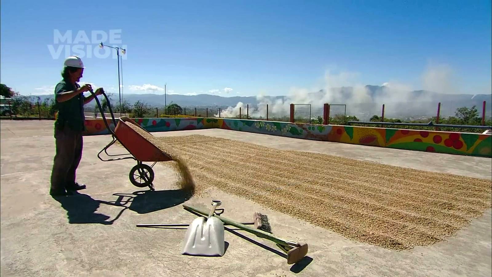 Drying the Beans in the Sun