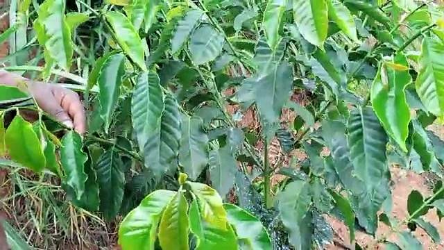 Special April considerations farmers should not miss