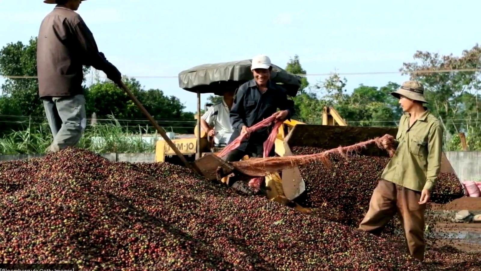 The Rise of Fine Robusta
