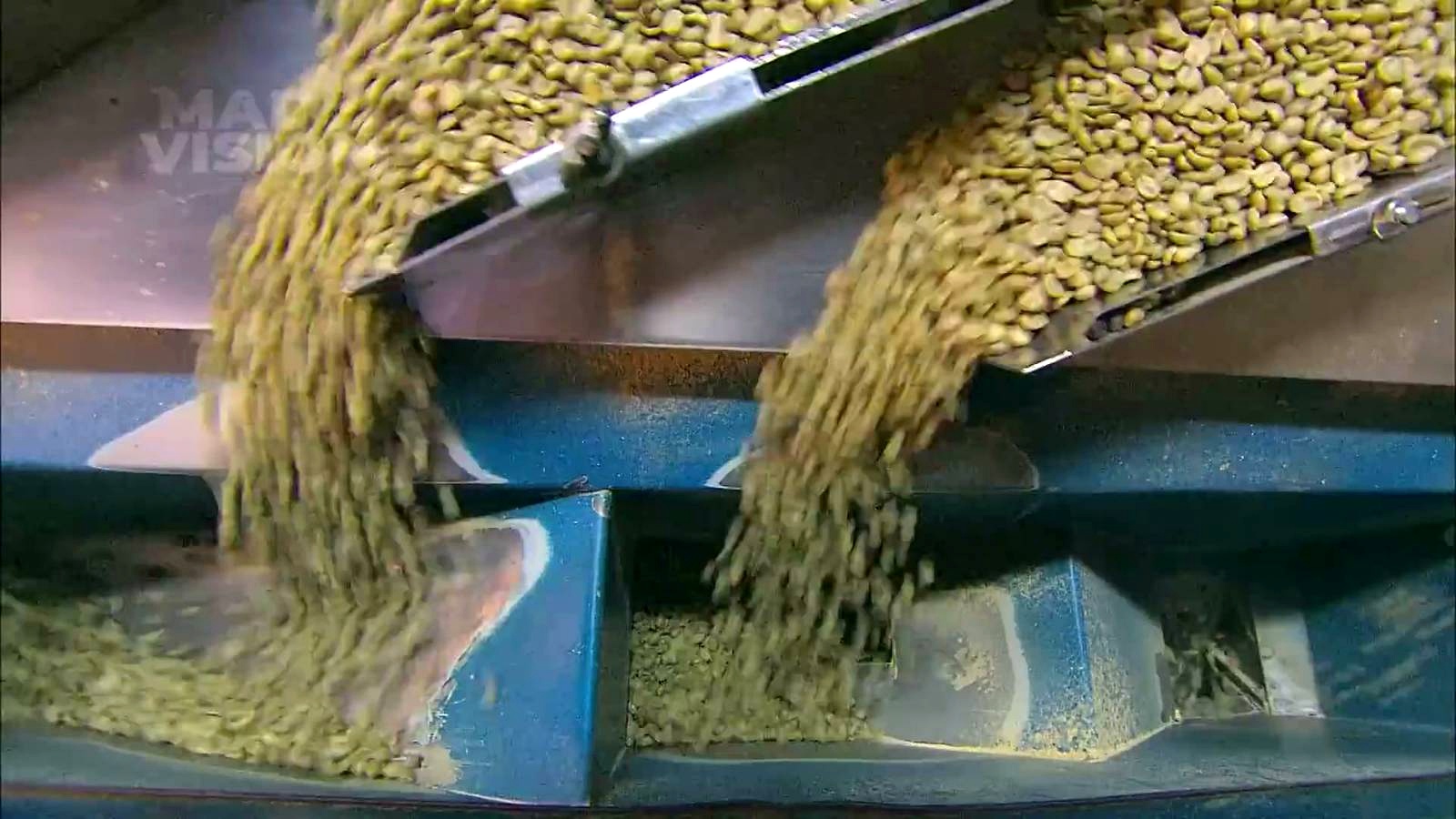 From Green Beans to Global Shipment