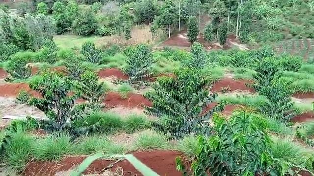 Insect control becomes urgent in April
